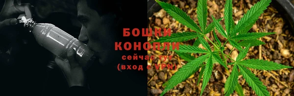 PSILOCYBIN Бронницы