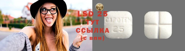 PSILOCYBIN Бронницы