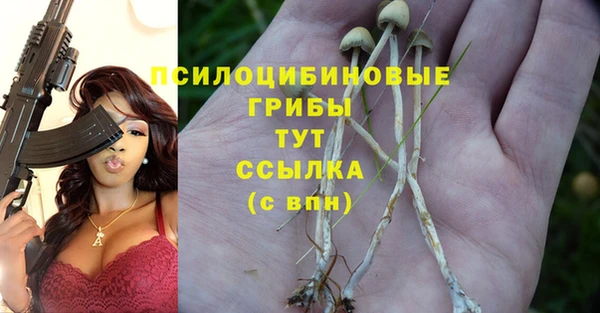 кокаин перу Бородино